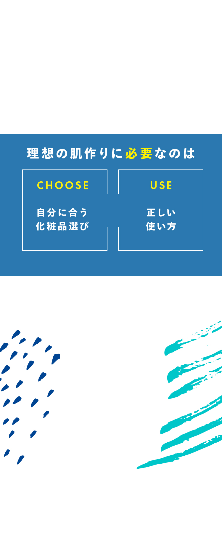理想の肌作りに必要なのは