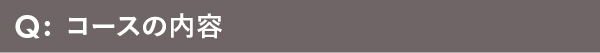 コースの内容