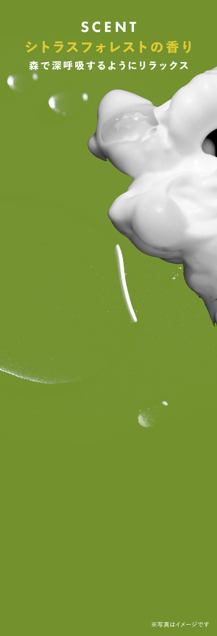 シトラスフォレストの香り