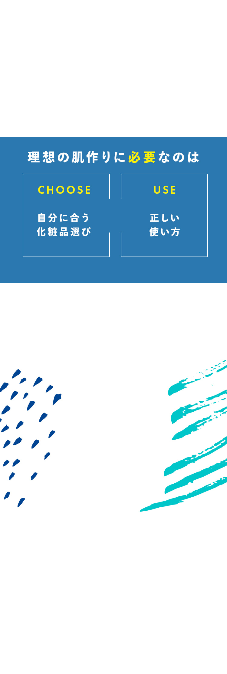 理想の肌作りに必要なのは